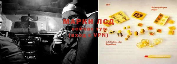 ECSTASY Богданович