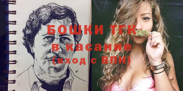 ECSTASY Богданович