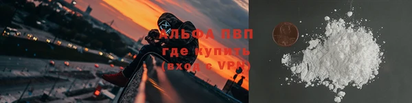ECSTASY Богданович