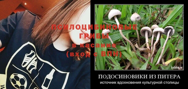 ECSTASY Богданович