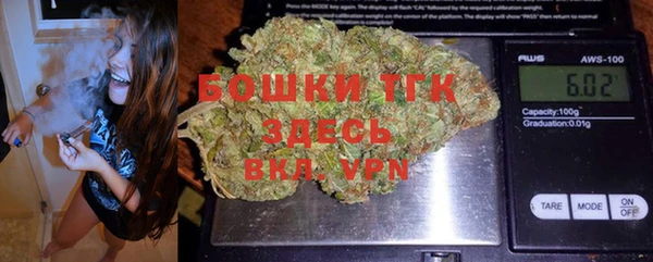 ECSTASY Богданович