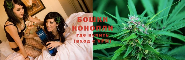 ПСИЛОЦИБИНОВЫЕ ГРИБЫ Богородск