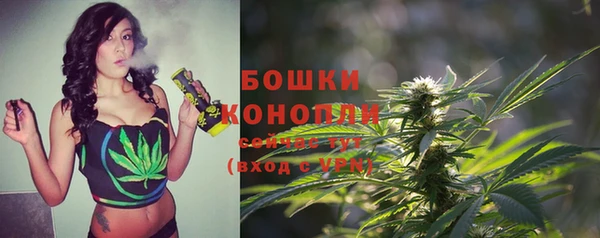 ПСИЛОЦИБИНОВЫЕ ГРИБЫ Богородск